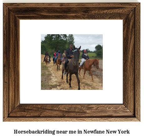 horseback riding near me in Newfane, New York